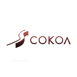 Сокол