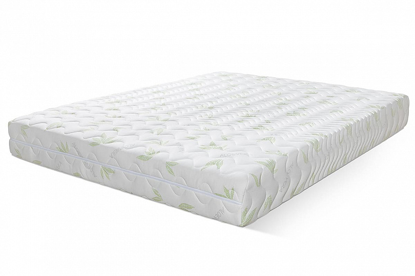 Concept 8 Aloe Vera