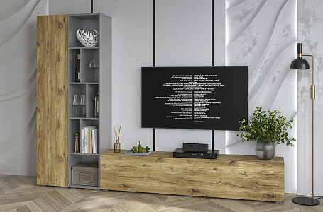 Neo-9 Дуб Нокс/Серебро