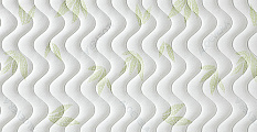 Concept 4 Aloe Vera